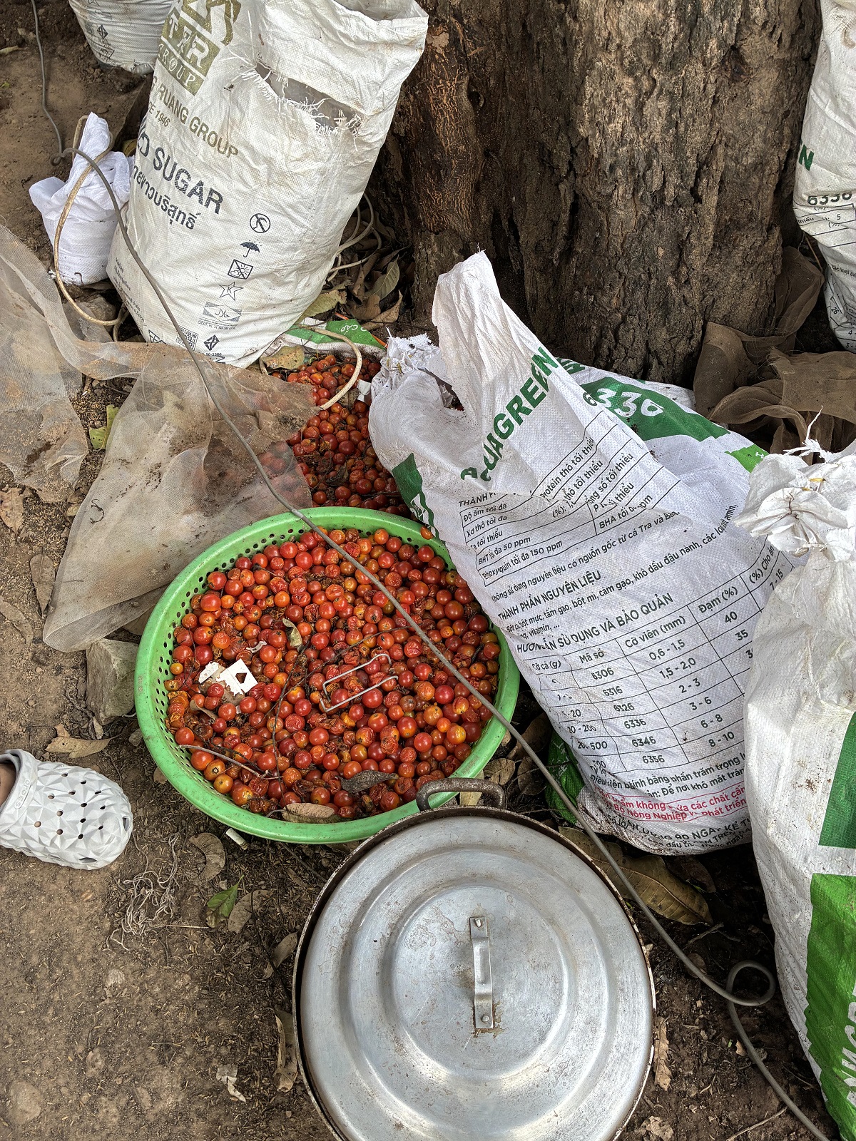 Food Waste & Hidden Hunger Crisis